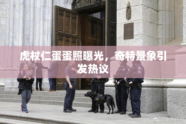 虎杖仁蛋蛋照曝光，奇特景象引发热议