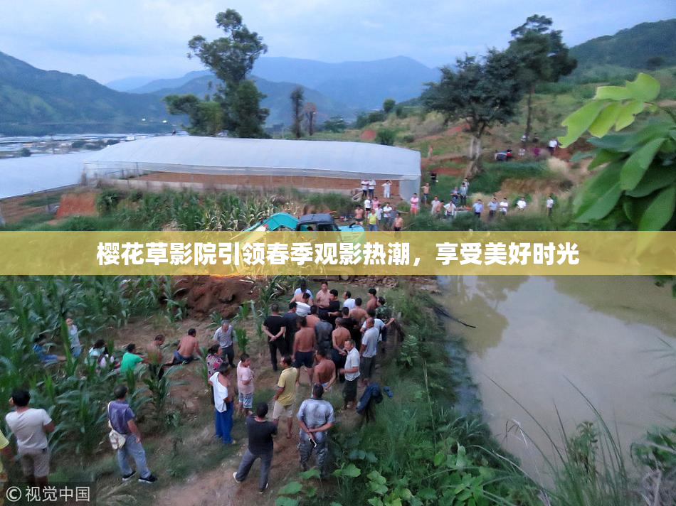 樱花草影院引领春季观影热潮，享受美好时光
