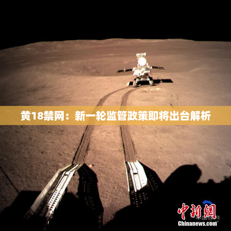 黄18禁网：新一轮监管政策即将出台解析