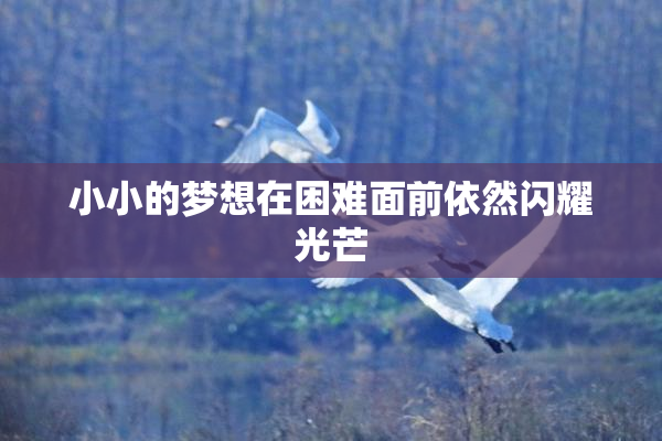 小小的梦想在困难面前依然闪耀光芒
