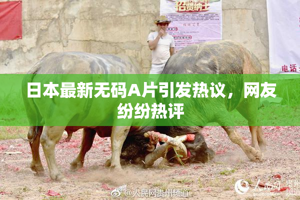 日本最新无码A片引发热议，网友纷纷热评