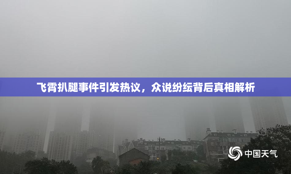飞霄扒腿事件引发热议，众说纷纭背后真相解析
