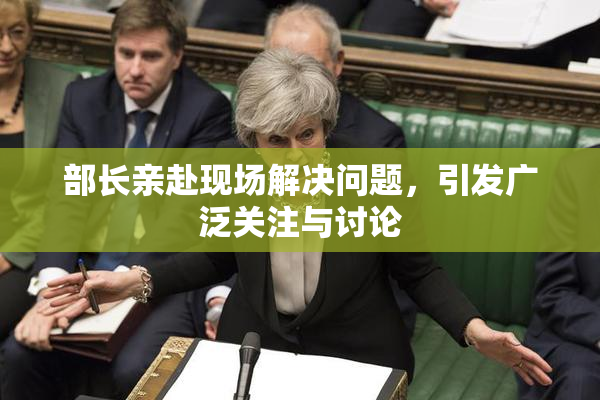 部长亲赴现场解决问题，引发广泛关注与讨论
