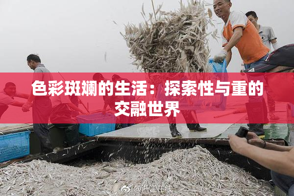 色彩斑斓的生活：探索性与重的交融世界
