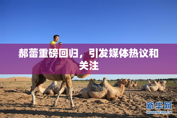 郝蕾重磅回归，引发媒体热议和关注