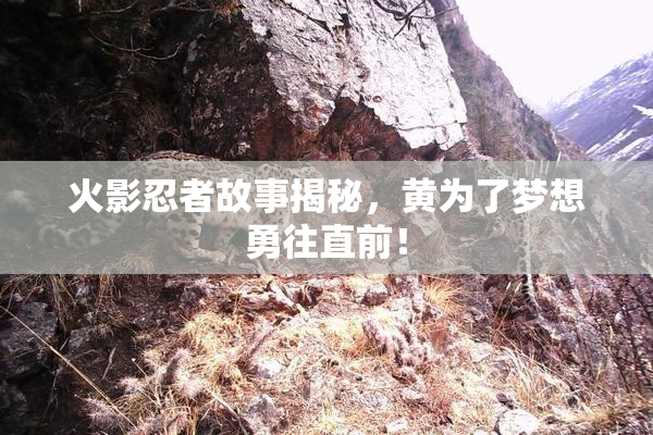 火影忍者故事揭秘，黄为了梦想勇往直前！