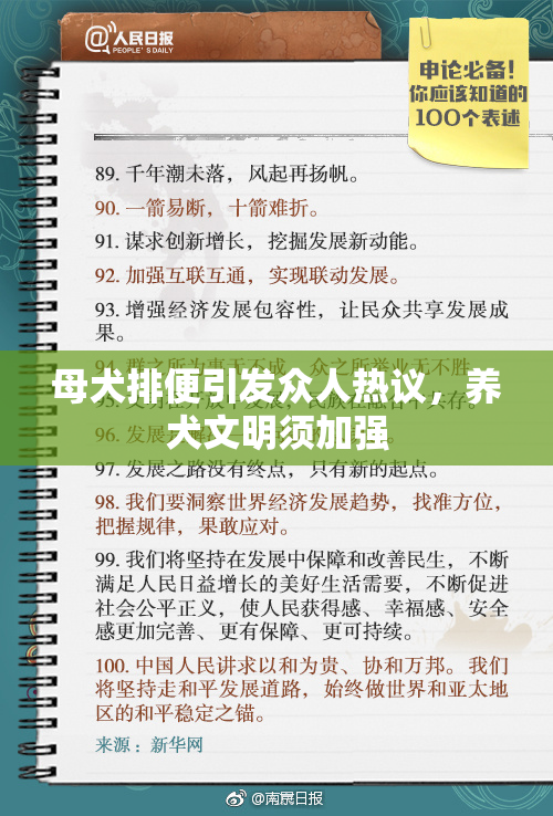母犬排便引发众人热议，养犬文明须加强