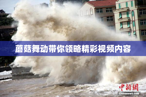 蘑菇舞动带你领略精彩视频内容