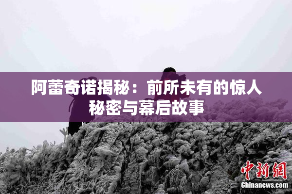 阿蕾奇诺揭秘：前所未有的惊人秘密与幕后故事