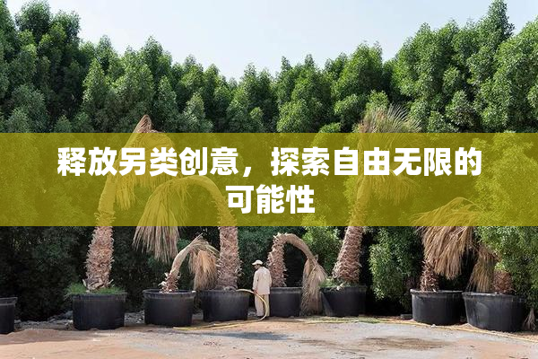 释放另类创意，探索自由无限的可能性