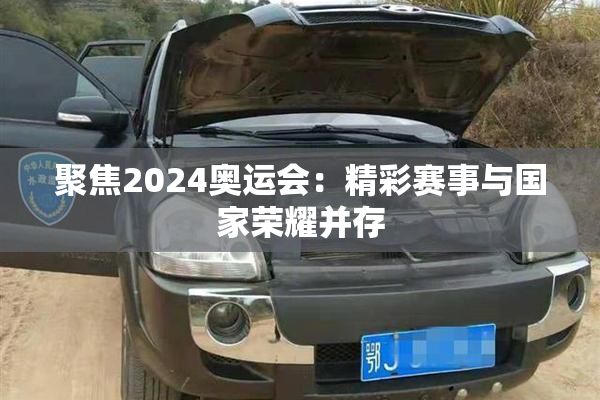 聚焦2024奥运会：精彩赛事与国家荣耀并存