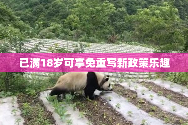 已满18岁可享免重写新政策乐趣