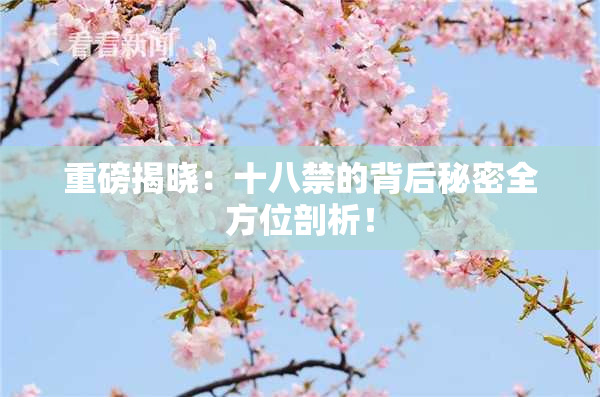 重磅揭晓：十八禁的背后秘密全方位剖析！
