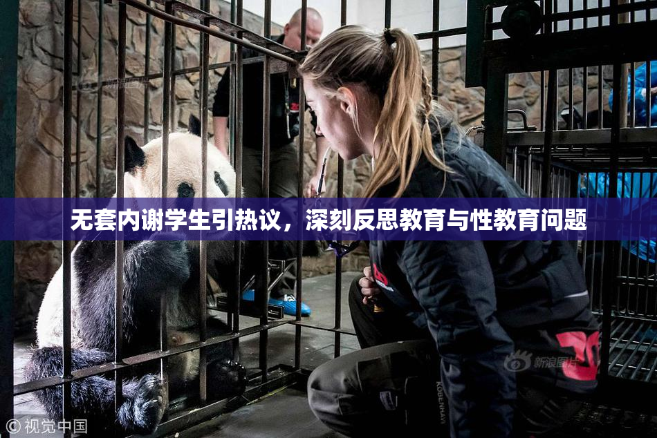 无套内谢学生引热议，深刻反思教育与性教育问题