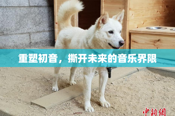 重塑初音，撕开未来的音乐界限