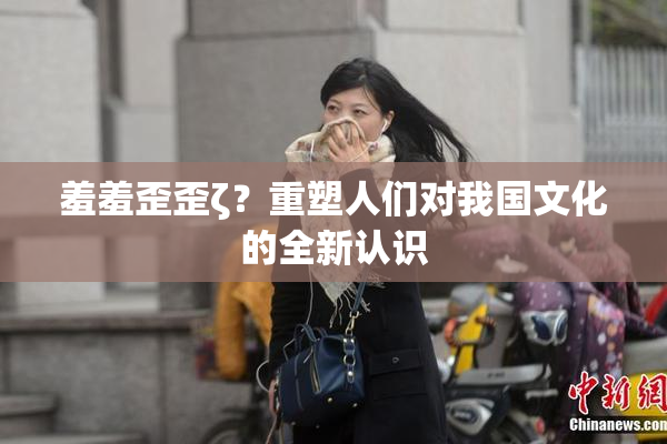 羞羞歪歪ζ？重塑人们对我国文化的全新认识