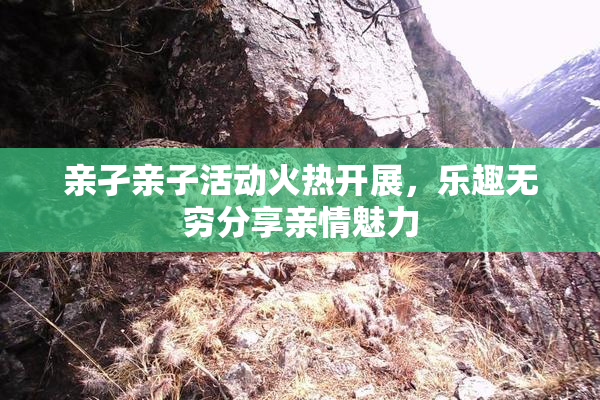 亲孑亲子活动火热开展，乐趣无穷分享亲情魅力