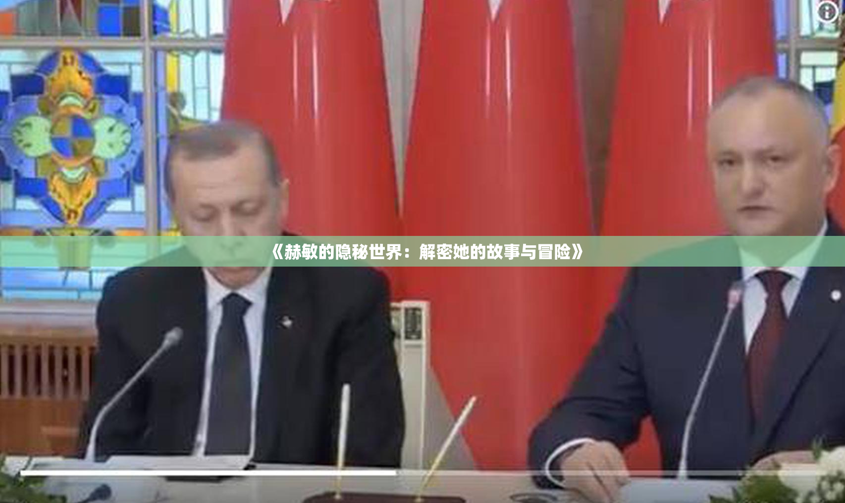 《赫敏的隐秘世界：解密她的故事与冒险》