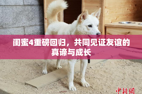 闺蜜4重磅回归，共同见证友谊的真谛与成长