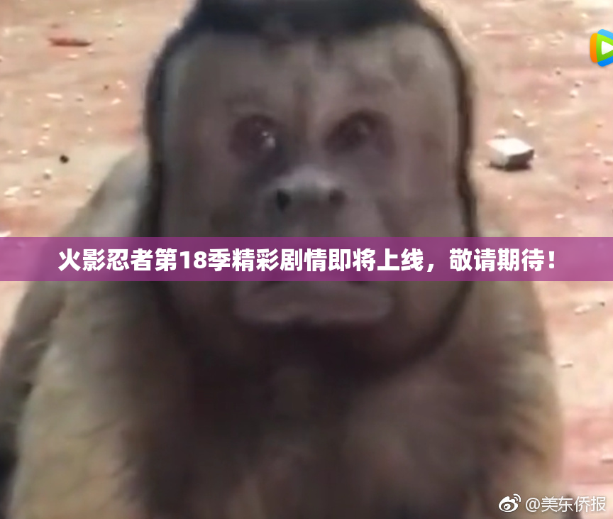 火影忍者第18季精彩剧情即将上线，敬请期待！