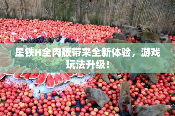 星铁H全肉版带来全新体验，游戏玩法升级！