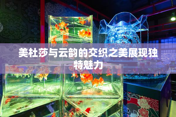 美杜莎与云韵的交织之美展现独特魅力