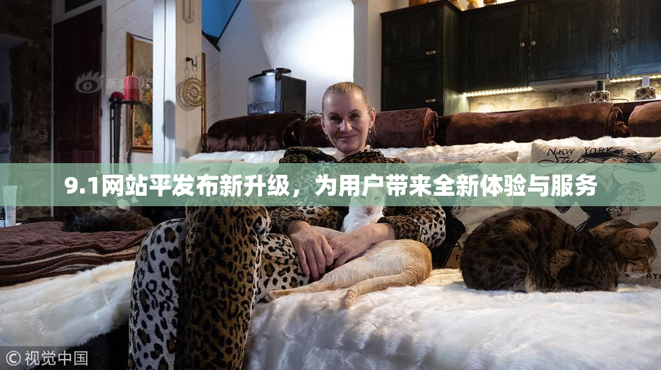 9.1网站平发布新升级，为用户带来全新体验与服务
