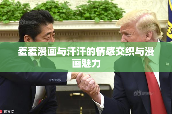 羞羞漫画与汗汗的情感交织与漫画魅力