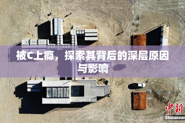 被C上瘾，探索其背后的深层原因与影响
