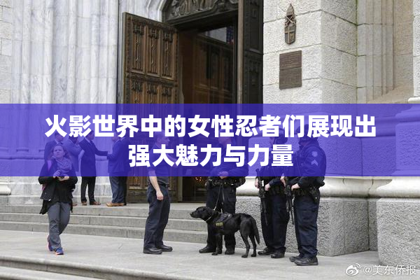 火影世界中的女性忍者们展现出强大魅力与力量
