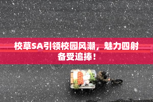 校草SA引领校园风潮，魅力四射备受追捧！