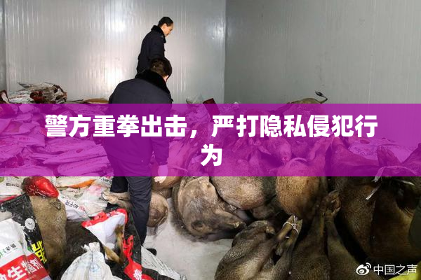 警方重拳出击，严打隐私侵犯行为