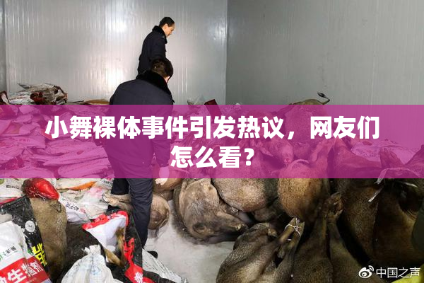 小舞裸体事件引发热议，网友们怎么看？