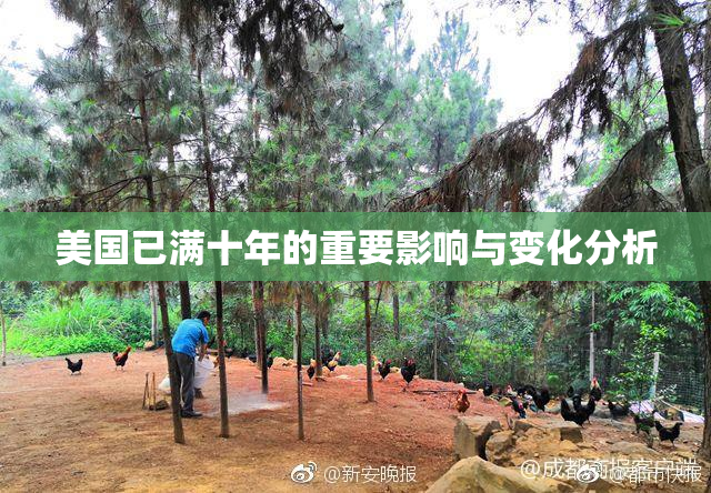 美国已满十年的重要影响与变化分析
