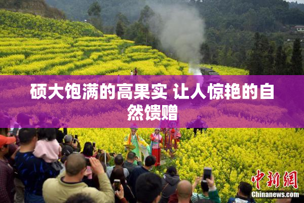 硕大饱满的高果实 让人惊艳的自然馈赠