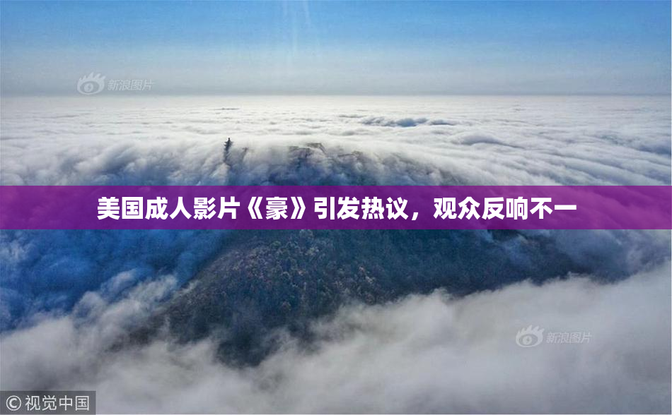 美国成人影片《豪》引发热议，观众反响不一