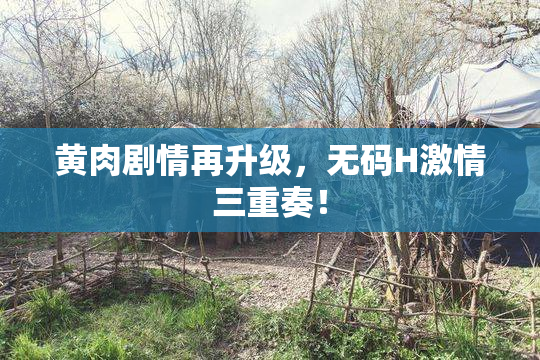 黄肉剧情再升级，无码H激情三重奏！
