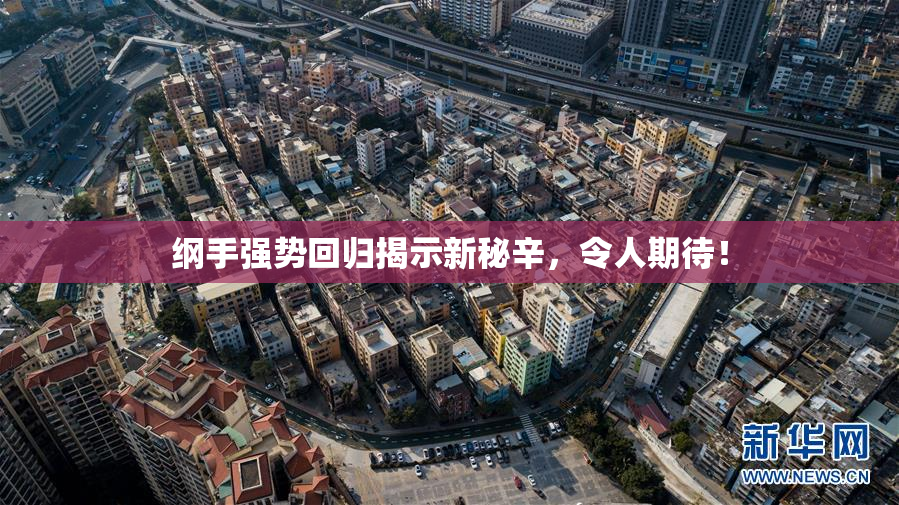 纲手强势回归揭示新秘辛，令人期待！