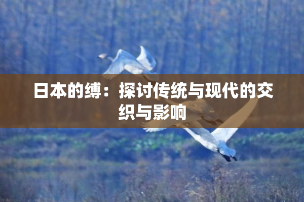 日本的缚：探讨传统与现代的交织与影响