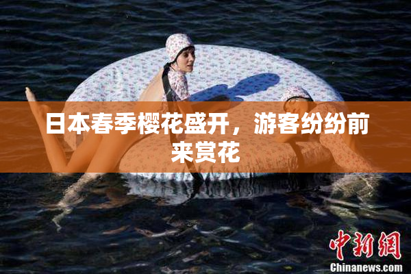 日本春季樱花盛开，游客纷纷前来赏花