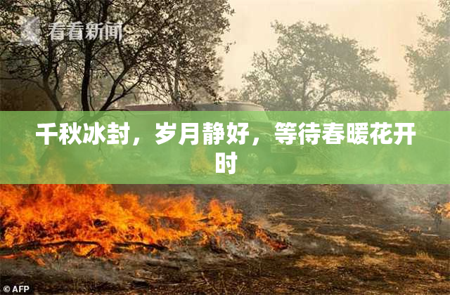 千秋冰封，岁月静好，等待春暖花开时