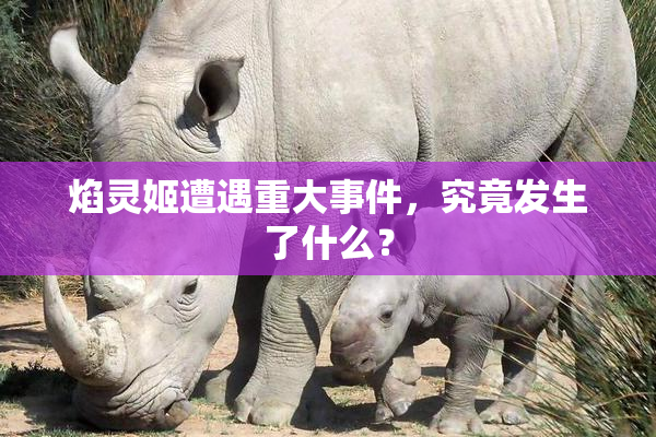 焰灵姬遭遇重大事件，究竟发生了什么？