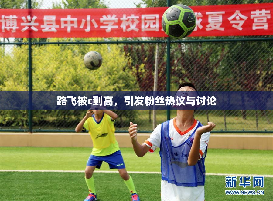 路飞被c到高，引发粉丝热议与讨论