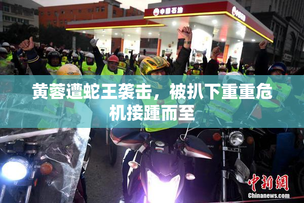 黄蓉遭蛇王袭击，被扒下重重危机接踵而至