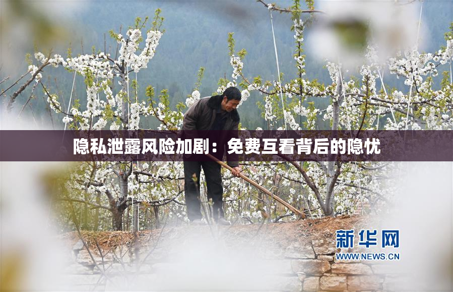 隐私泄露风险加剧：免费互看背后的隐忧