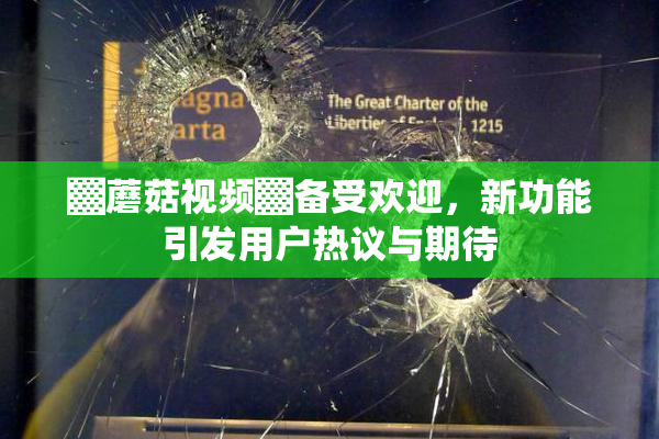 ▓蘑菇视频▓备受欢迎，新功能引发用户热议与期待