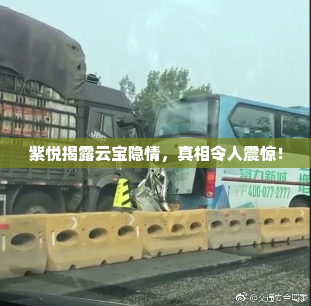 紫悦揭露云宝隐情，真相令人震惊！