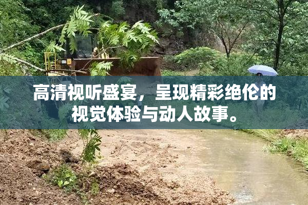 高清视听盛宴，呈现精彩绝伦的视觉体验与动人故事。