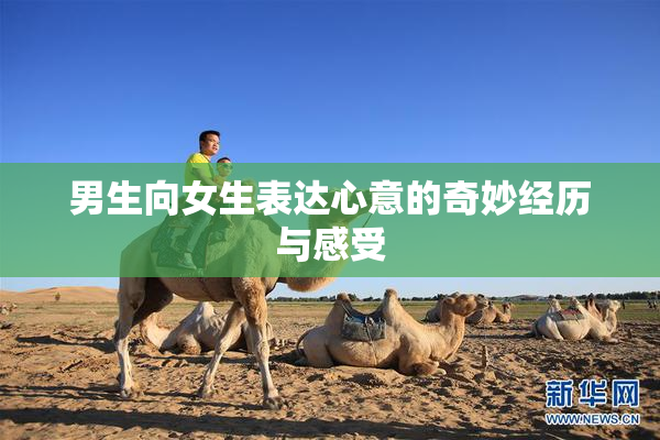 男生向女生表达心意的奇妙经历与感受
