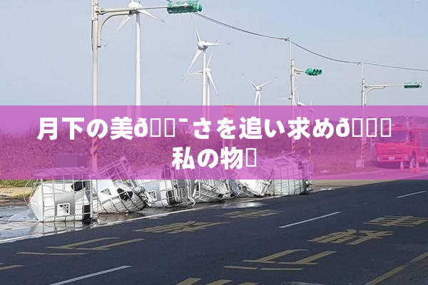 月下の美🔯さを追い求め🌃私の物語